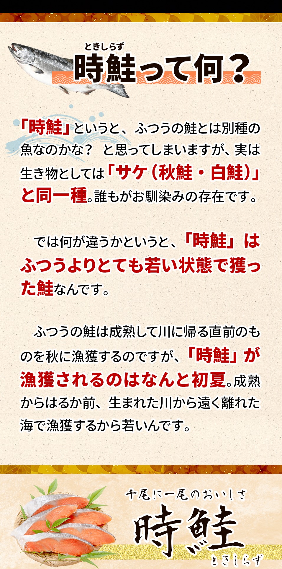 時鮭