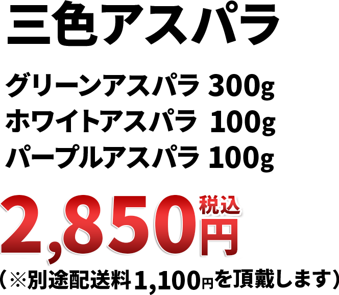 三色アスパラ（グリーンアスパラ 600g・ホワイトアスパラ 200g・パープルアスパラ 200g）5,000円（税込）※別途配送料1,000円を頂戴いたします。