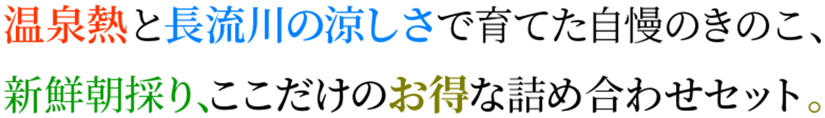 きのこ王国のきのこづくしセット 株式会社北海道産地直送センター