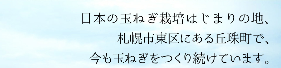 日本の玉ねぎ栽培はじまりの地、札幌市東区にある丘珠街で、今も玉ねぎをつくり続けています。