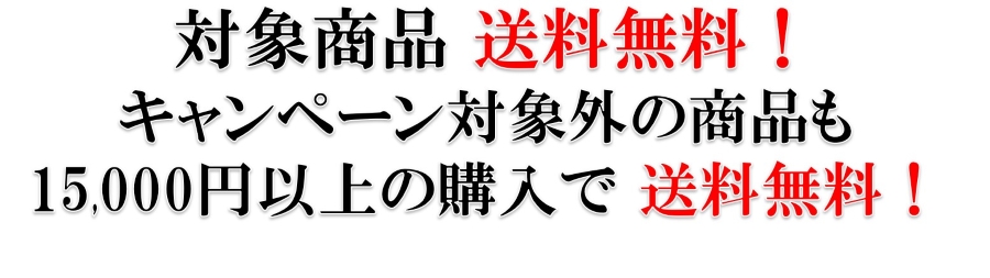 送料無料