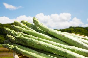 asparagus2019top-300x200 asparagus2019top
