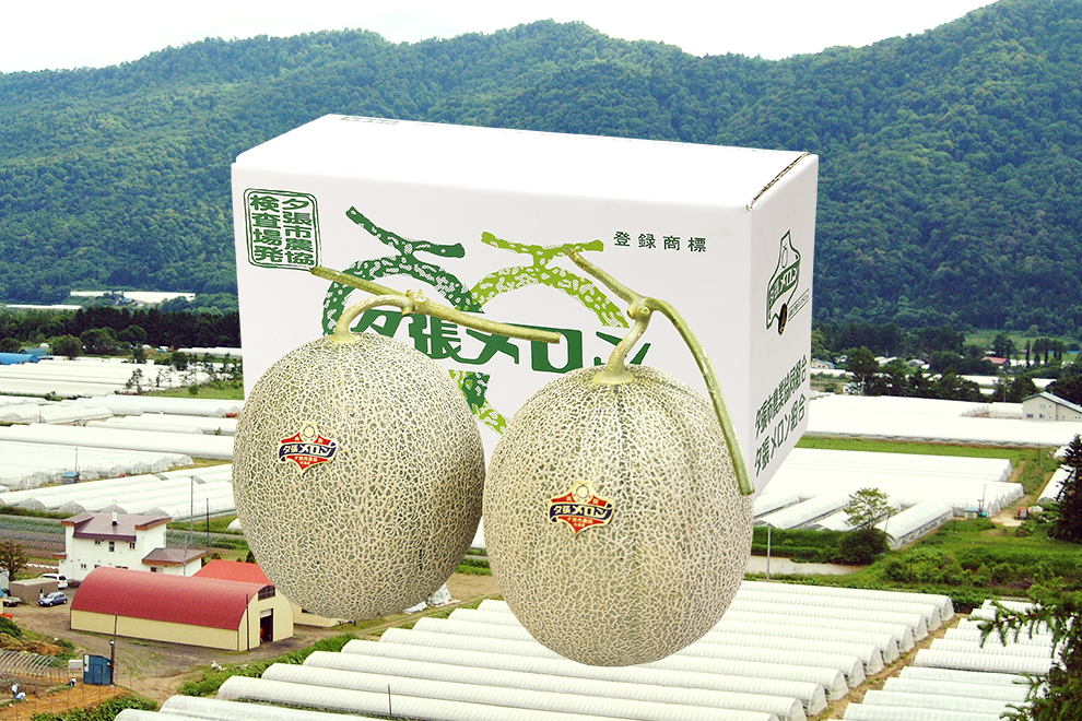 melon-image 北海道の産直メロン特別販売