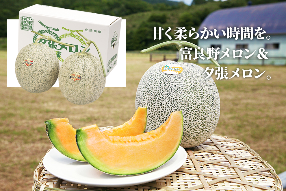 melon-image 北海道の産直メロン特別販売