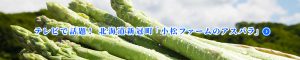 asparagus-banner2-300x60 asparagus-banner2