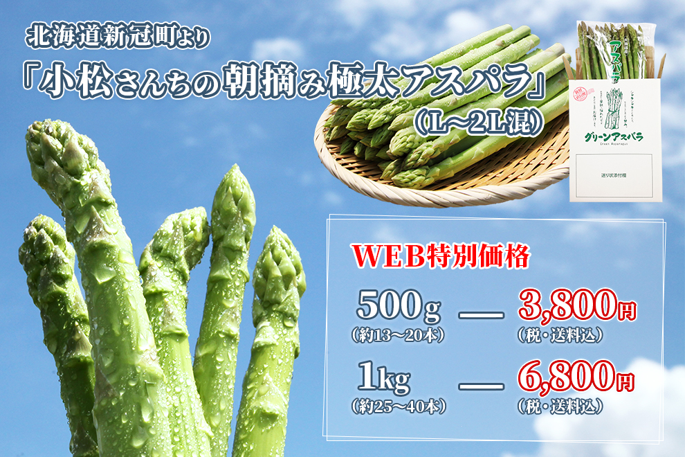 asparagus-main2 産直アスパラ 北海道産 特別販売