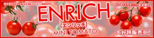 mini-tomato-banner-300x75 mini-tomato-banner