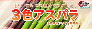 3color-asparagus-banner-300x95 3color-asparagus-banner