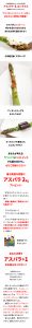 1募集ページLP正-30x300 アスパラ+1募集ページLP正