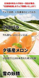WEB物産展バナー_02b-153x300 販路多様化WEB物産展バナー_02b