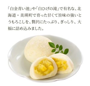daifuku2_04-300x289 daifuku2_04