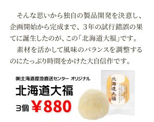 daifuku2_08r-300x238 daifuku2_08r